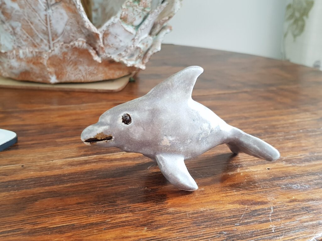 Dolphin